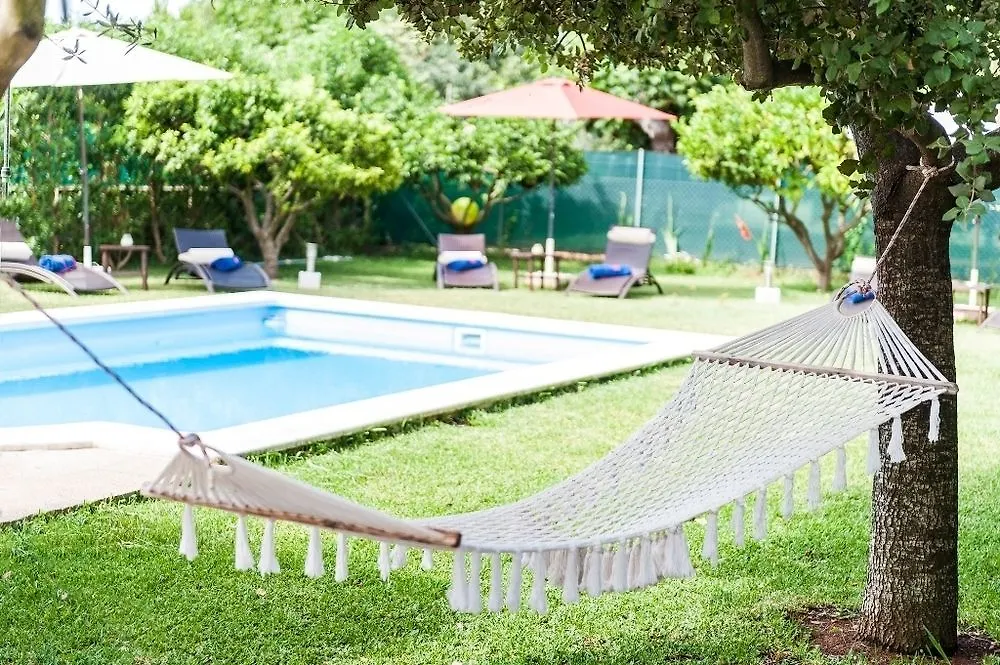 Alegre Villa Lloseta